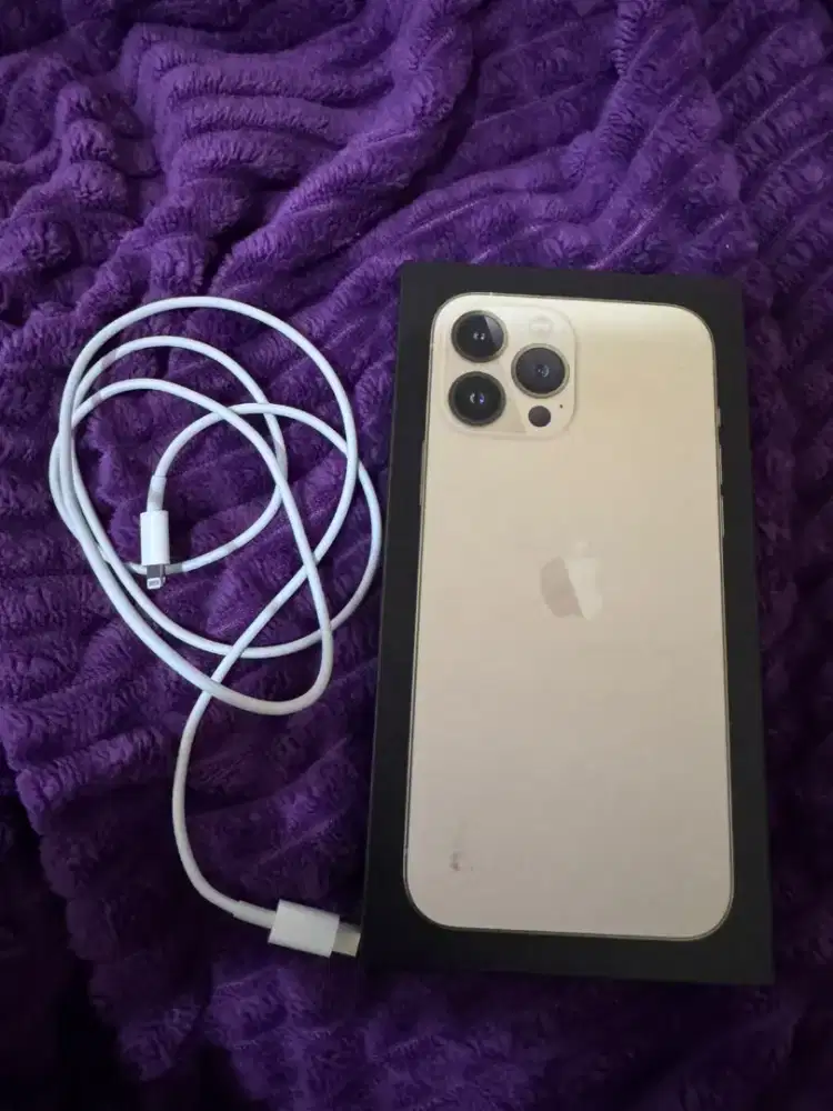 iPhone 13 Pro Max 1TB