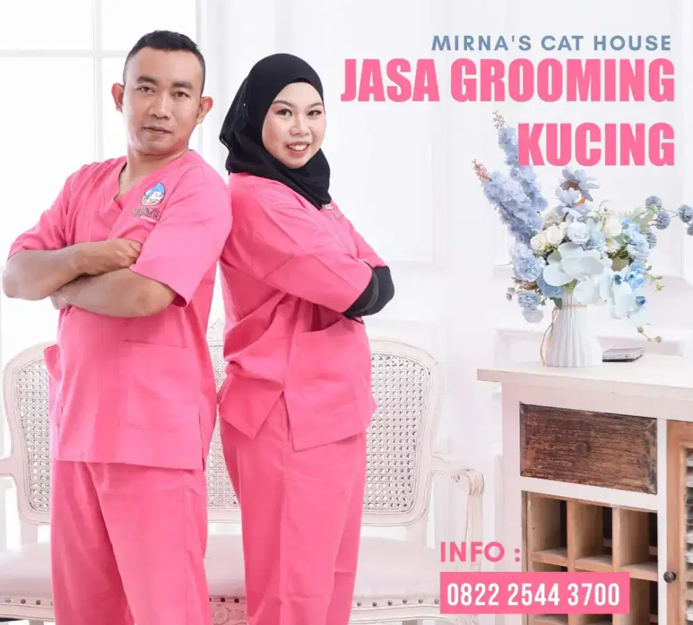 Jasa Grooming Kucing Persia Peaknose dll