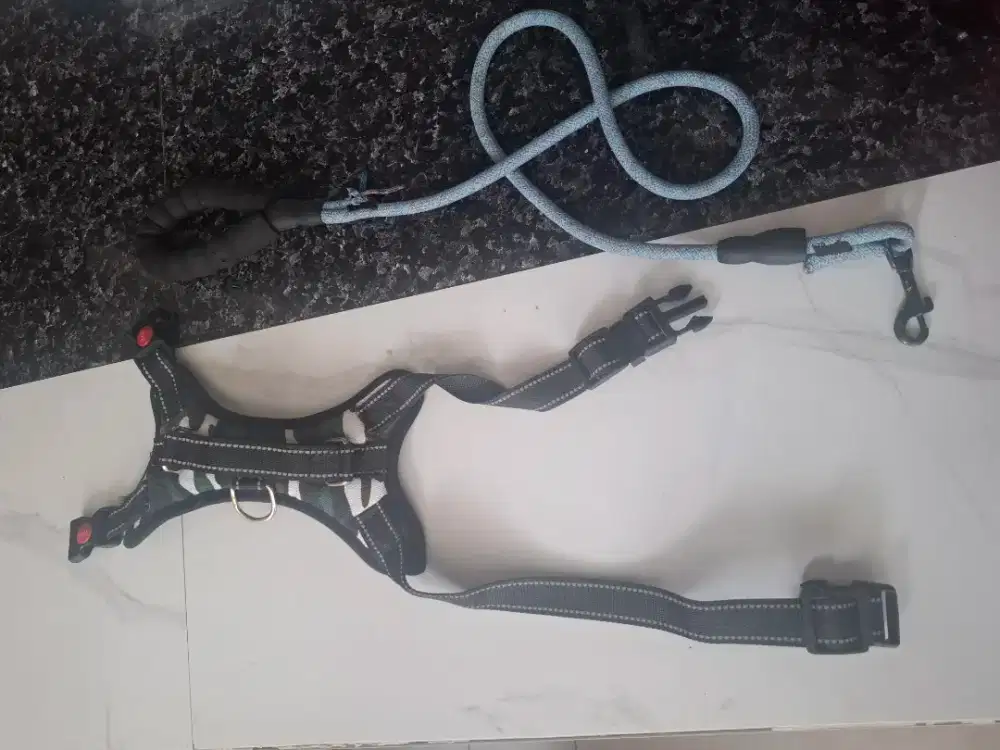 1 set harness dan leash anjing