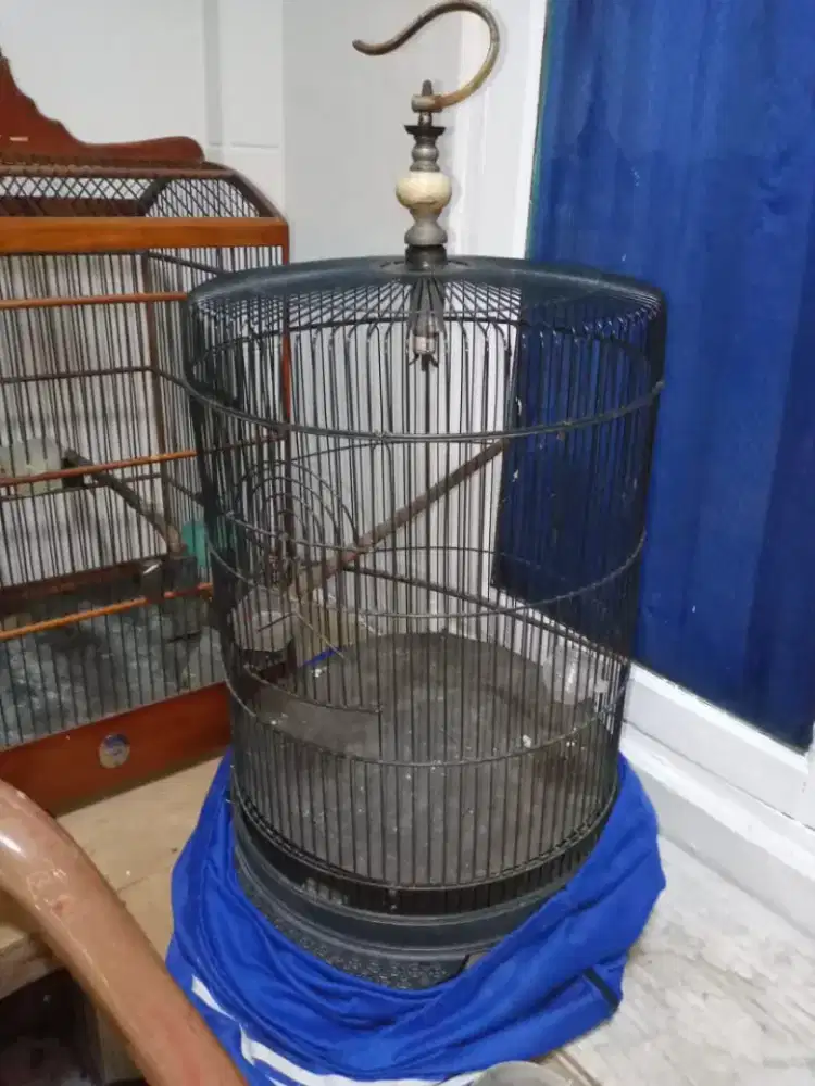 Kandang Burung Lovebird merk Glossy