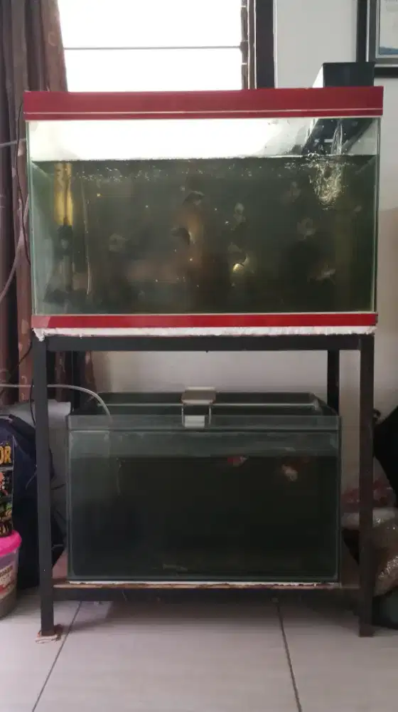 Akuarium + Rak Siku Borongan