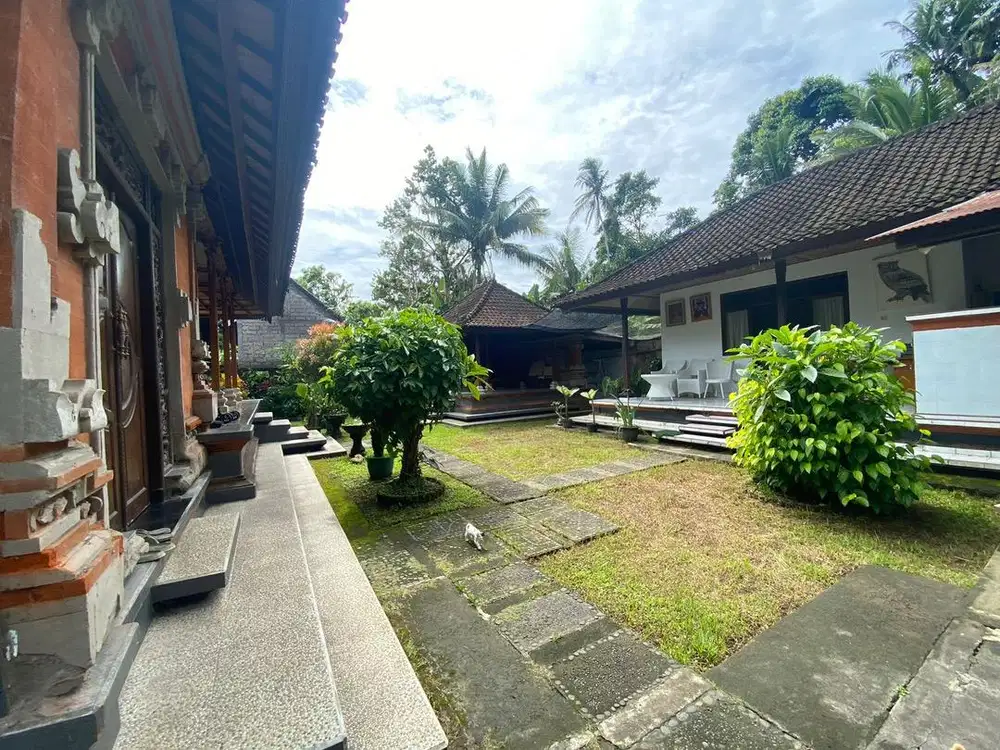 Dijual Rumah Luas 6 Are