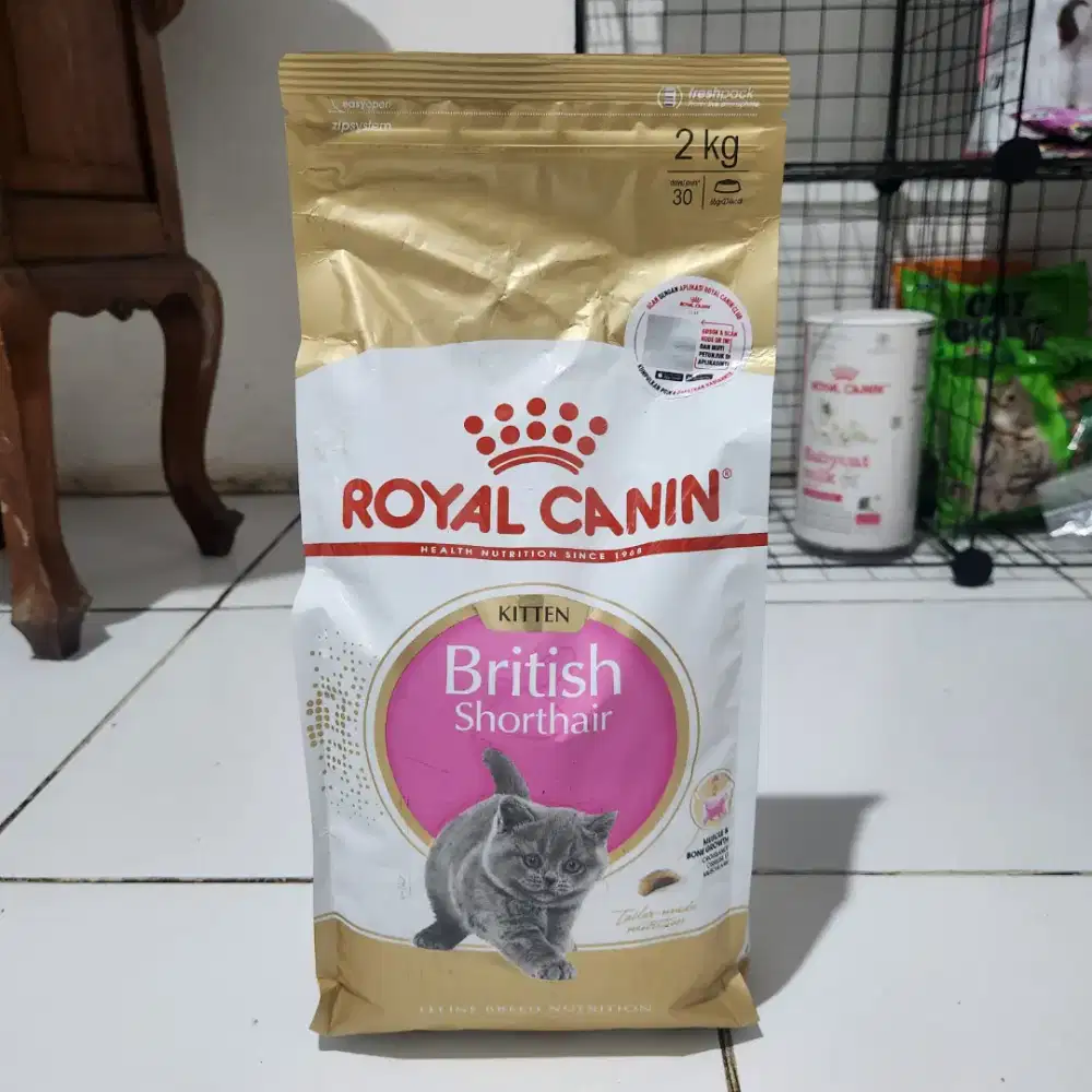 Royal canin british shorthair kitten