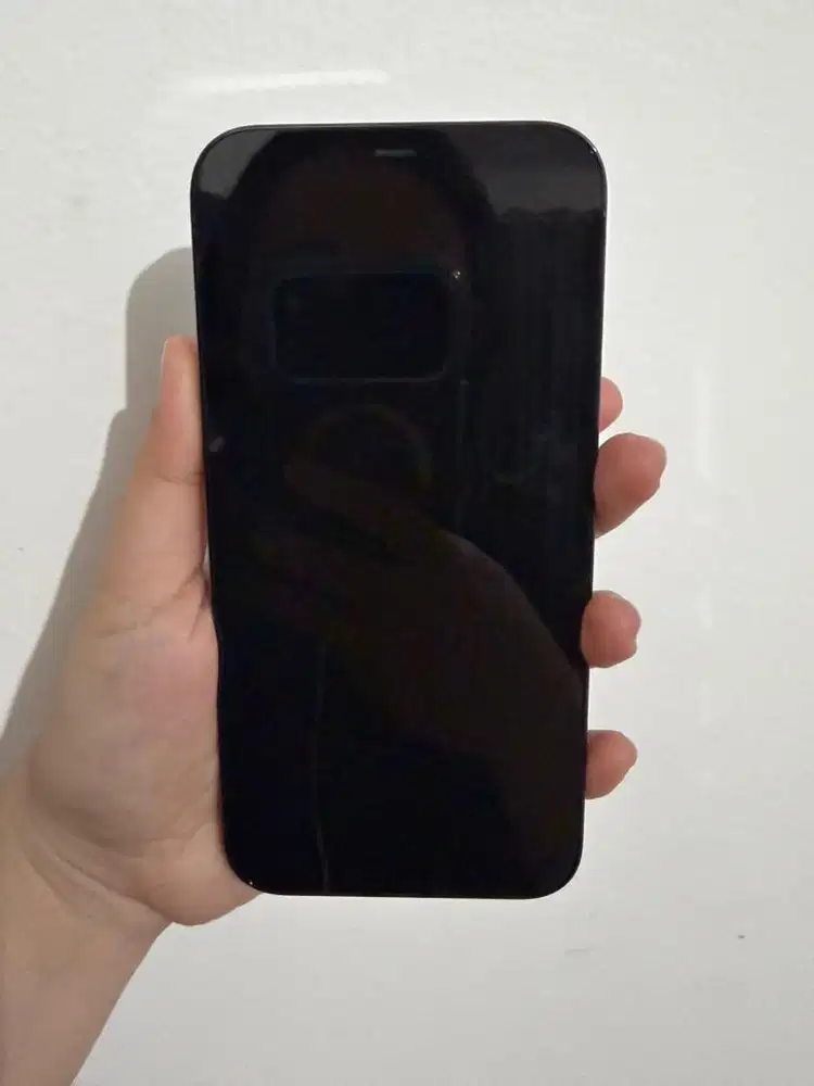 Dijual iPhone 12 ProMax Pacific Blue 128Gb (Second)