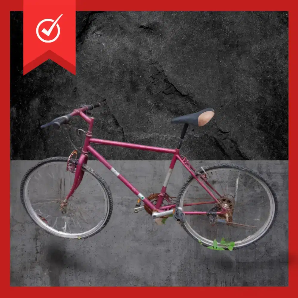 Mtb bicycle federal repaint