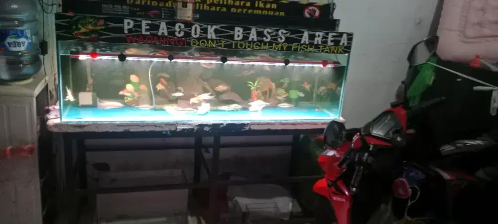 Aquarium ikan 150x50x50 set