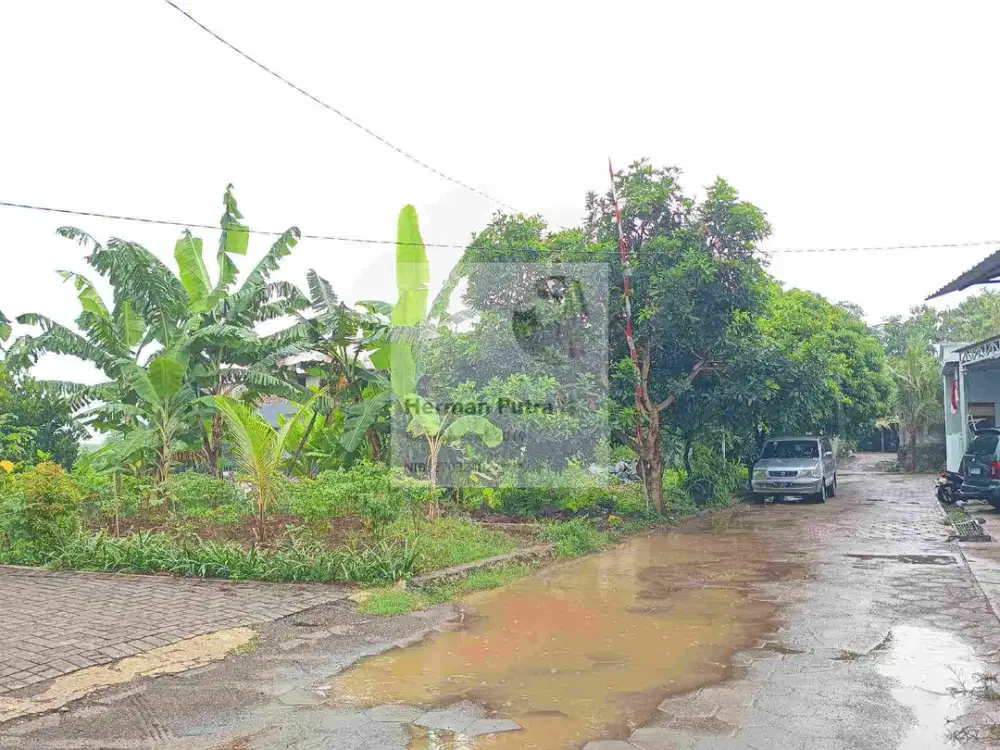 Tanah Tembalang Bulusan Utara Undip