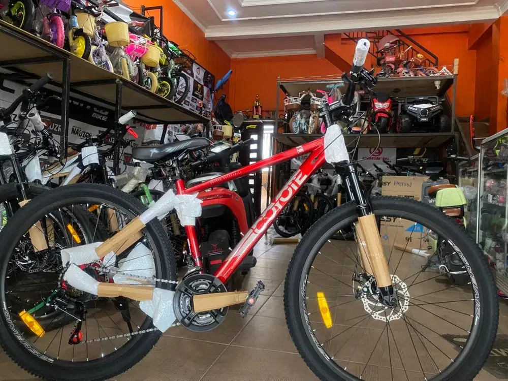 sepedah mtb element coyote ukuran 24