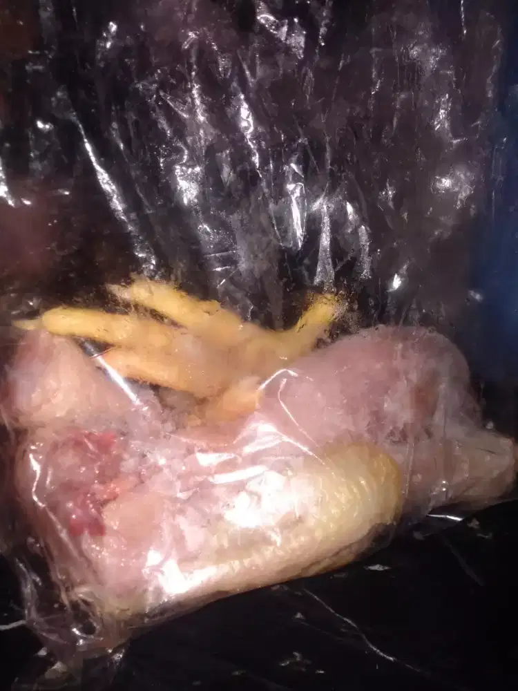 Ayam potong lihat deskr