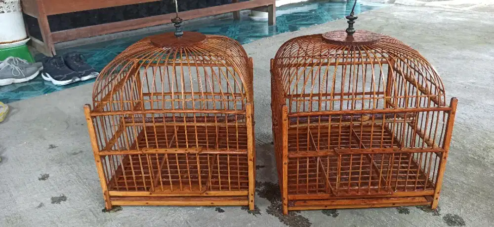 sangkar derkuku puter