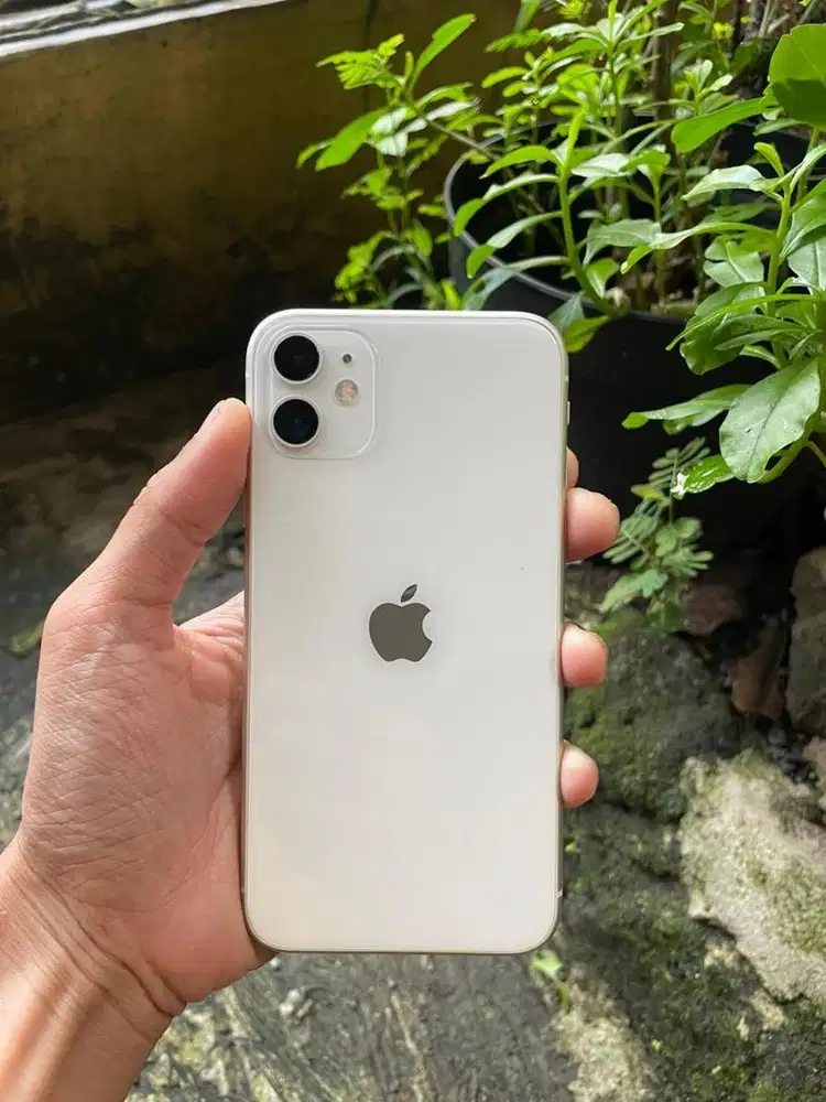 iPhone 11 128GB Mulus murah