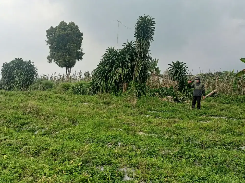 Kavling Villa Strategis Area Wisata Tamansari Harga Termurah Bonus Mesin Cuci