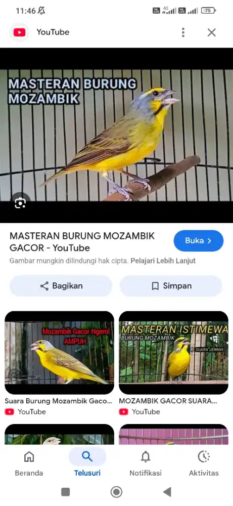 Kali ada yang punya Mozambik, udah bosen