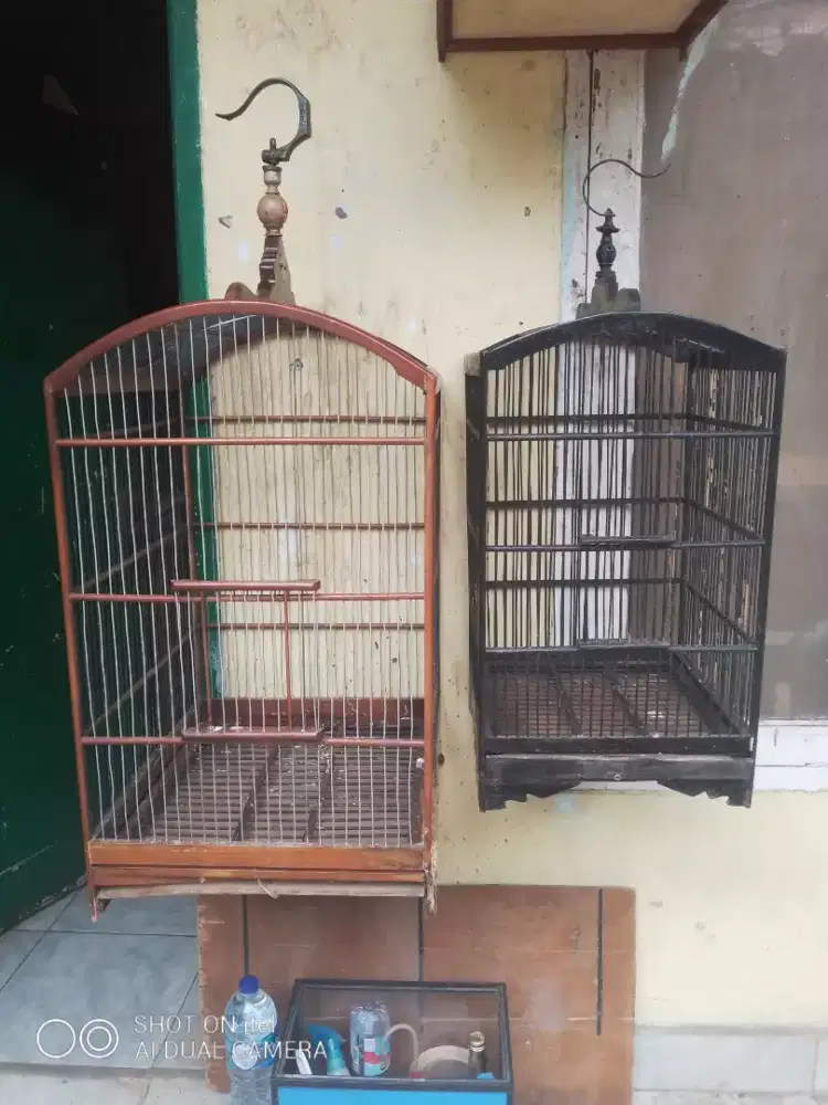 Kandang no 1 & 3 layak pakai di BSD