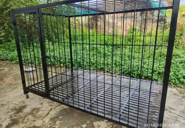 kandang hewan anjing