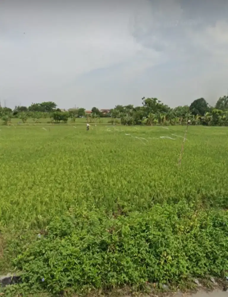 DI JUAL TANAH SAWAH, DI JL RAYA IRIGASI HARAPAN JAYA, KOTA BEKASI.