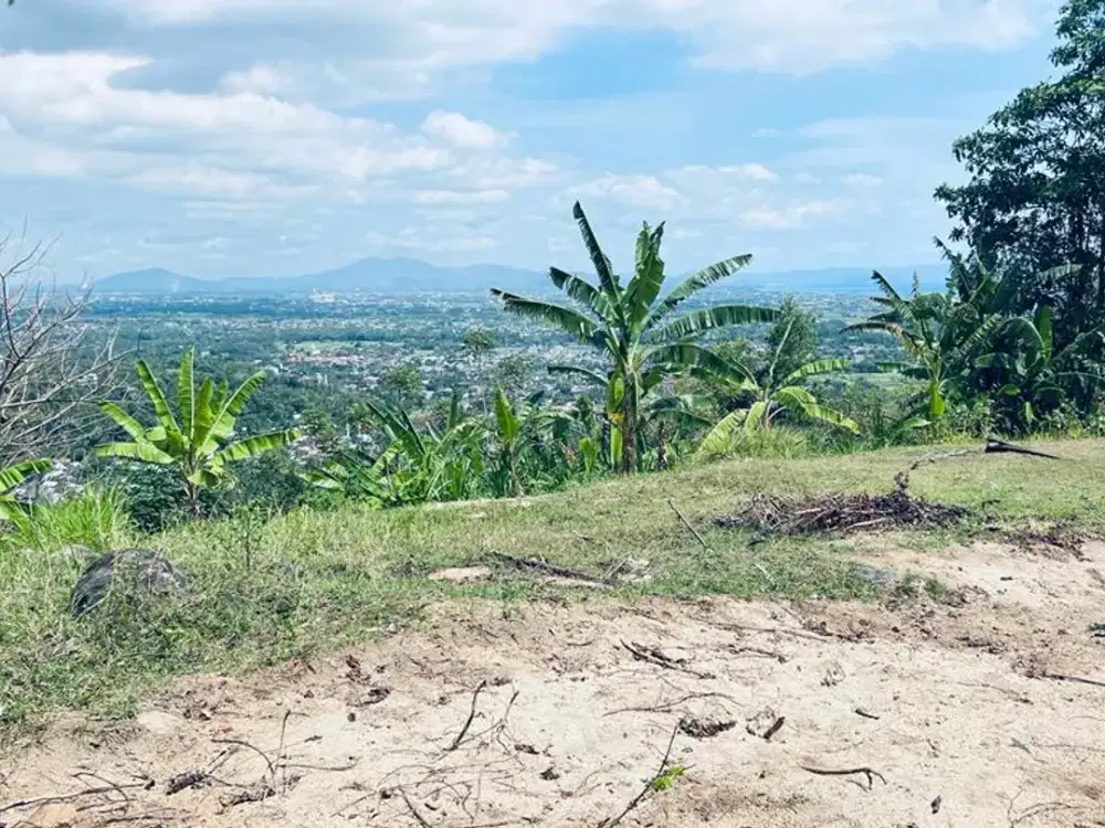 Tanah diatas bukit Bengkaung di Senteluk Batu Layar - Lombok Barat