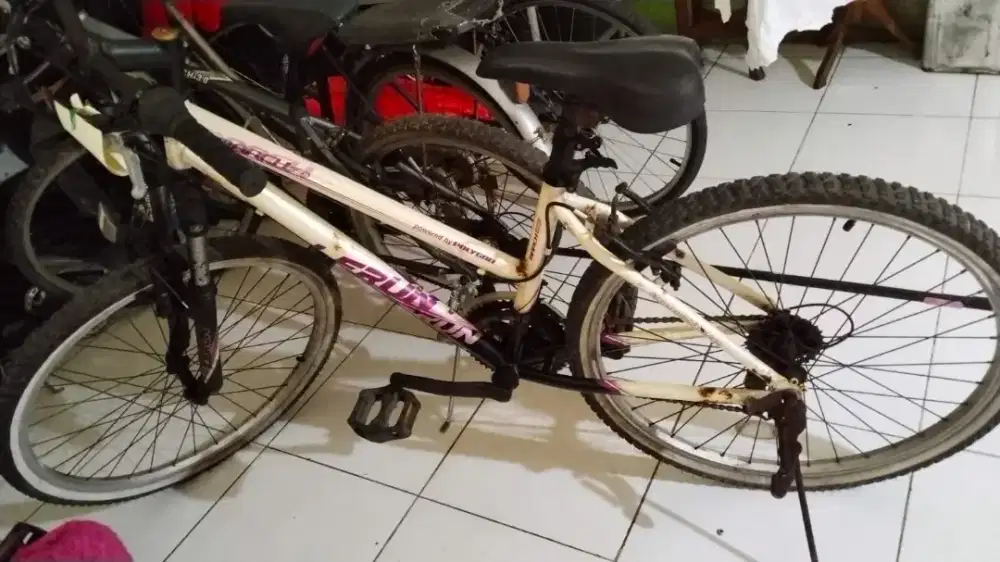 Sepeda bekas warna putih