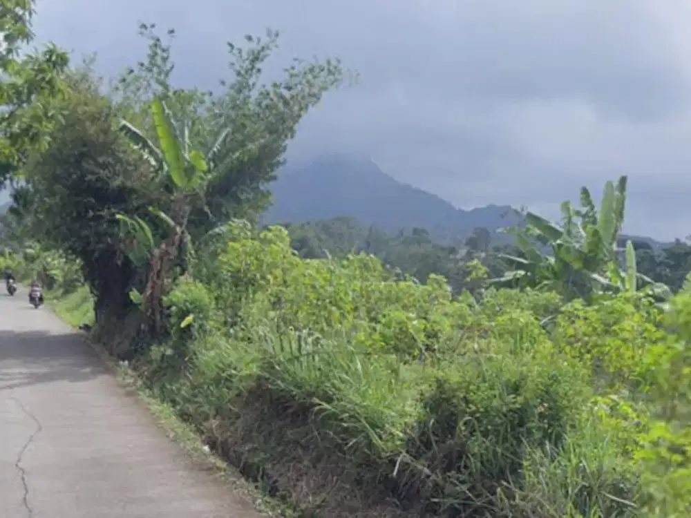 Tanah darat di Cileunyi Bandung dekat Tol Padaleunyi Bandung
