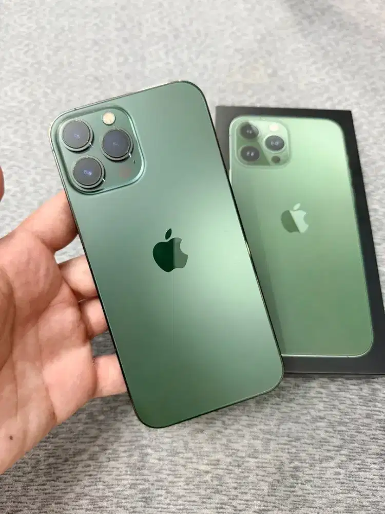 Iphone 13 promax 128gb inter