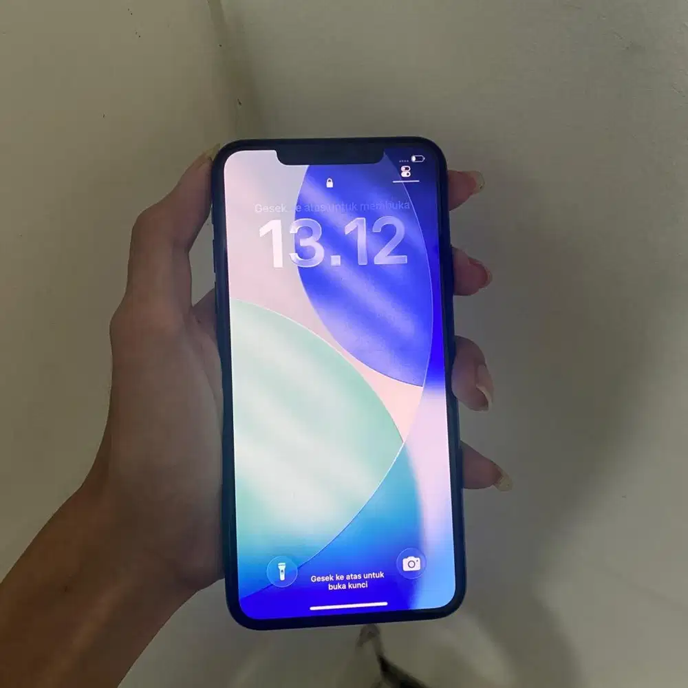 iPhone 11 pro max regist whitelist