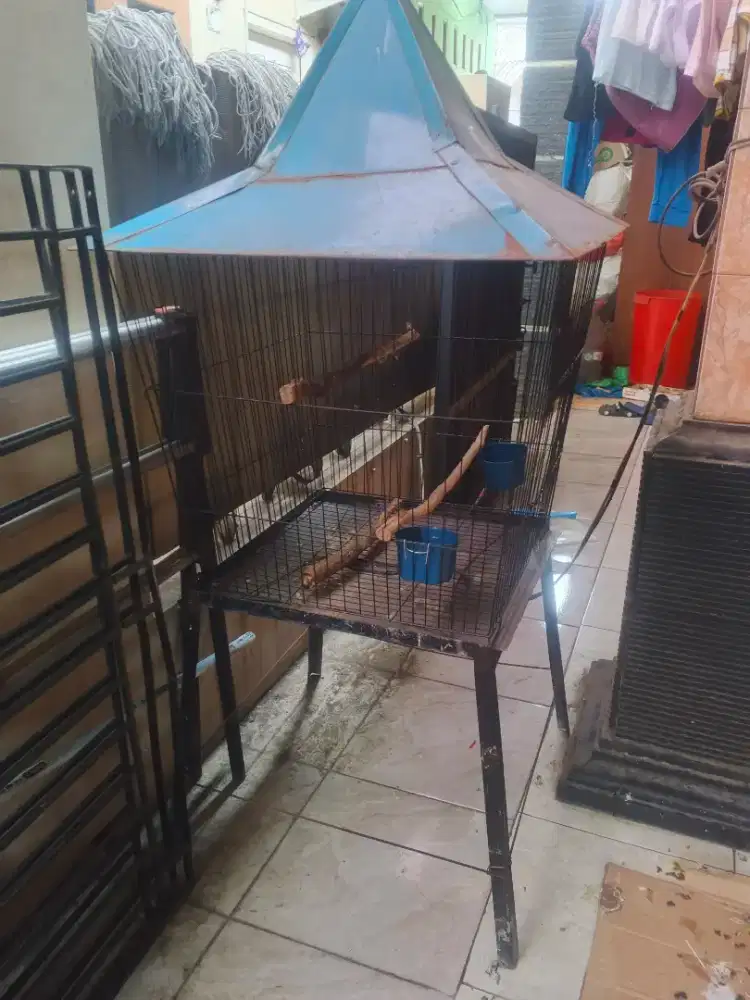 Kandang burung besi
