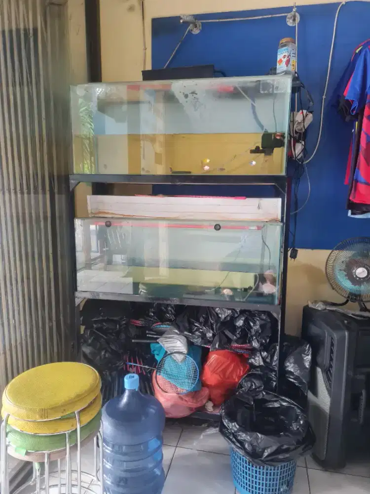 2 aquarium+rak 3 tingkat+ 2 mesin pompa + bak filter + bonus ikan koki