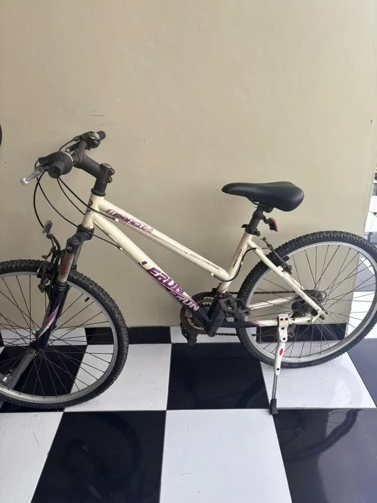 Sepeda Bekas Masih Bagus