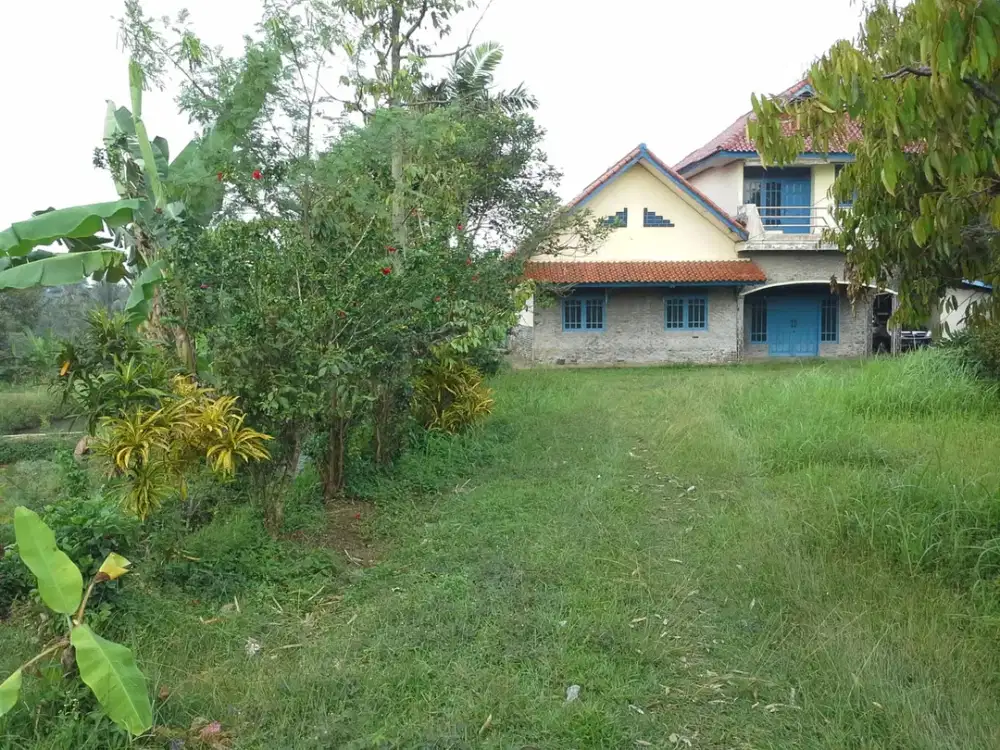 Tanah Luas 1,1 Ha di Cibungbulang Bogor Jawa Barat