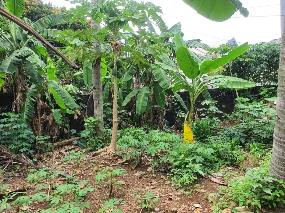 TANAH HARGA MURAH! LOKASI STRATEGIS BELAKANG RS HERMINA DEPOK