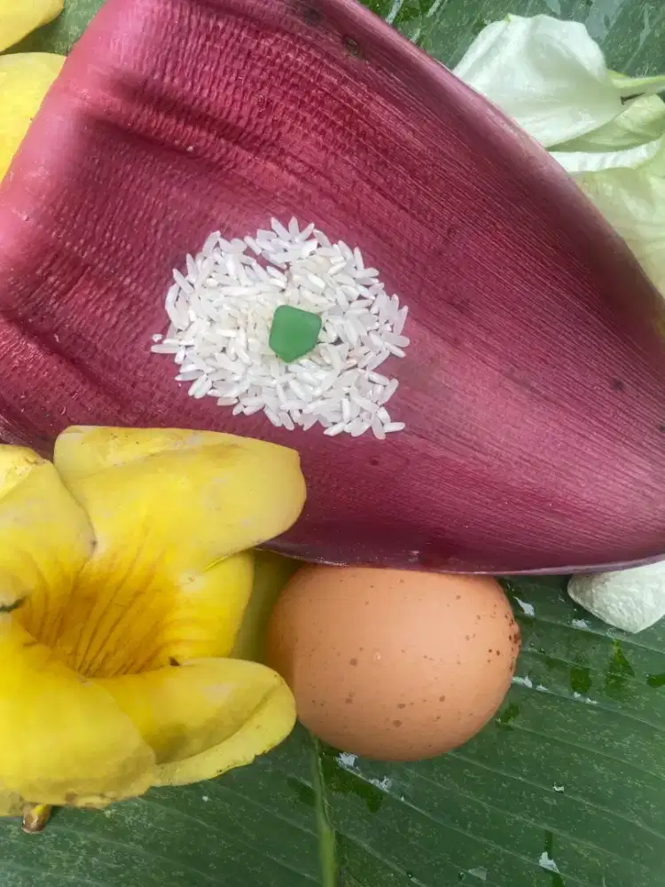 Batu MUSTIKA BUAH ALPUKAT