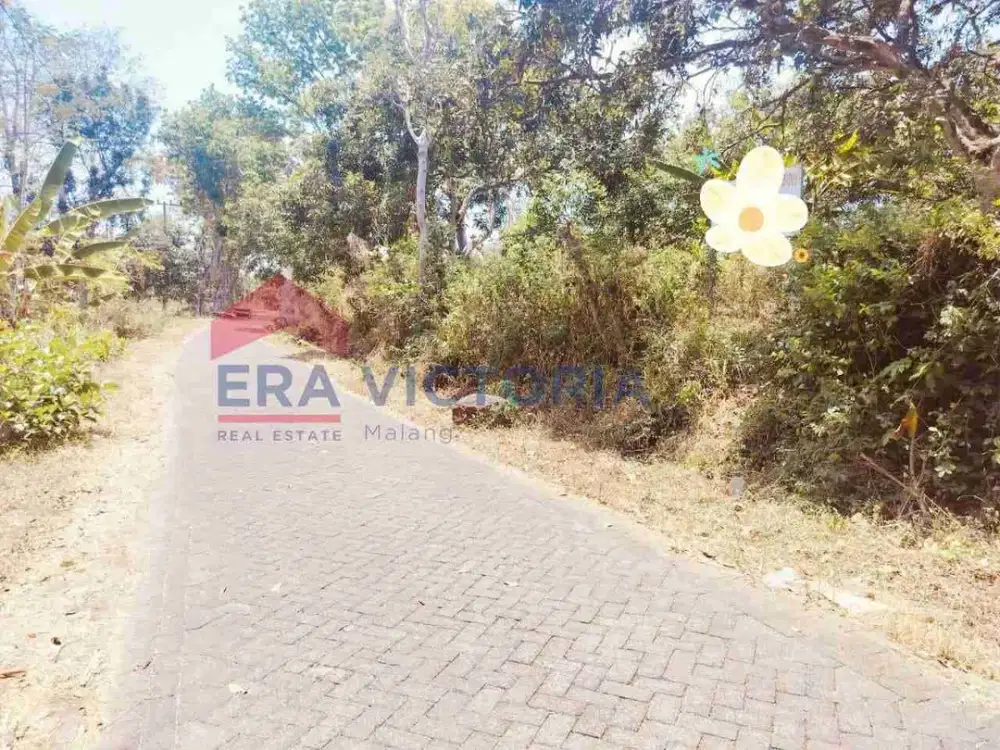 Tanah luas murah di Ngembal Tutur Pasuruan