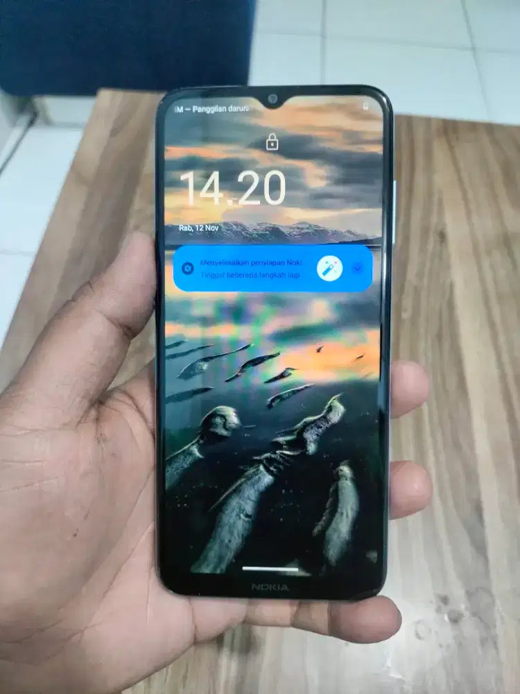 Nokia G20 4/64Gb Second