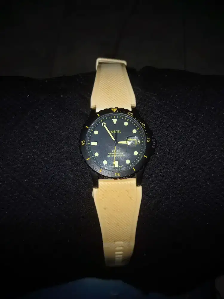 Jam tangan Fossil FS5684