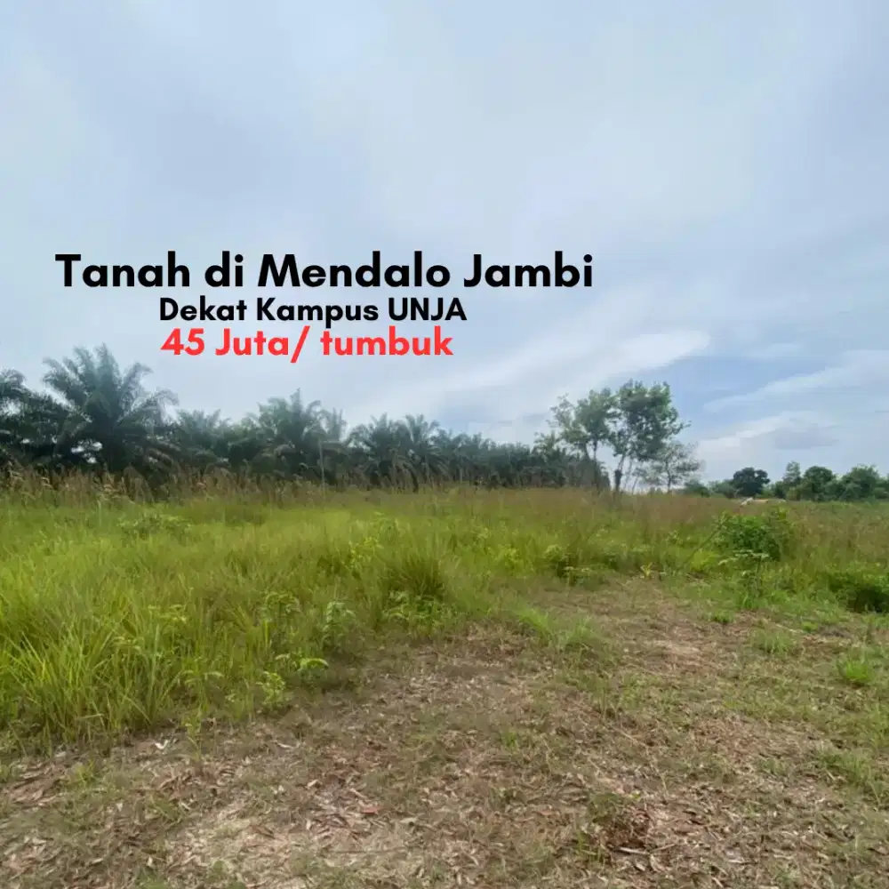 Jual Tanah Mendalo di Kota Jambi