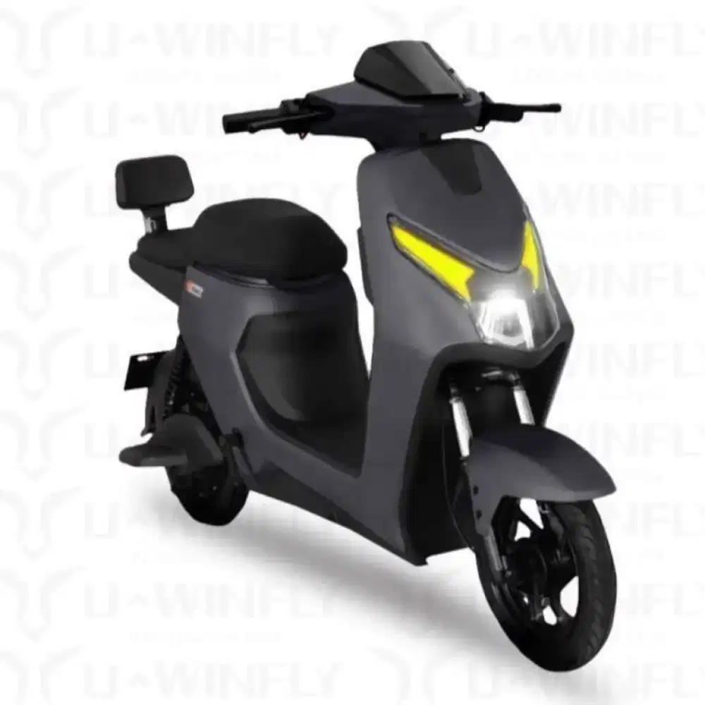 Sepeda listrik D65 uwinfly