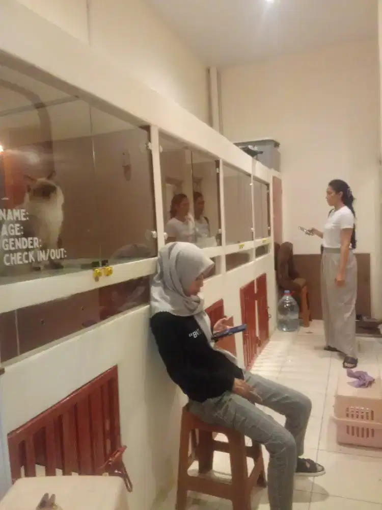 Lowongan kerja groomer