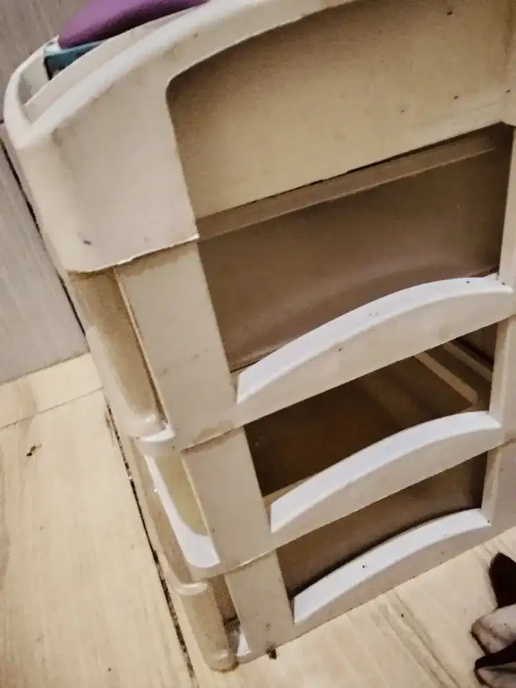 edisi pulang kampung