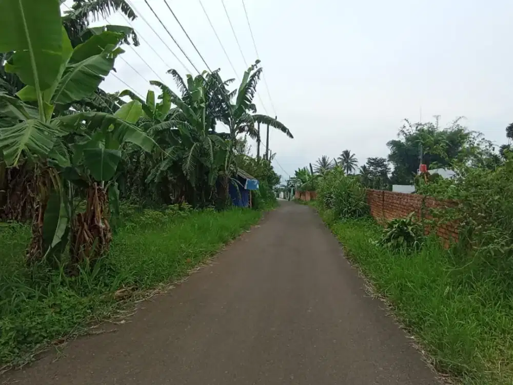 Kavling Murah Caringin Dekat Puskesmas Cimande Bonus Motor Listrik