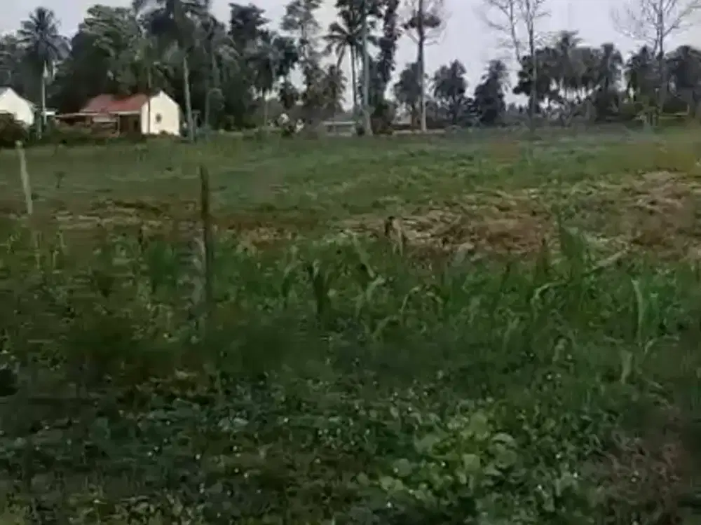 Dijual Tanah Di Tulung Agung Kec. Gadingrejo Lampung