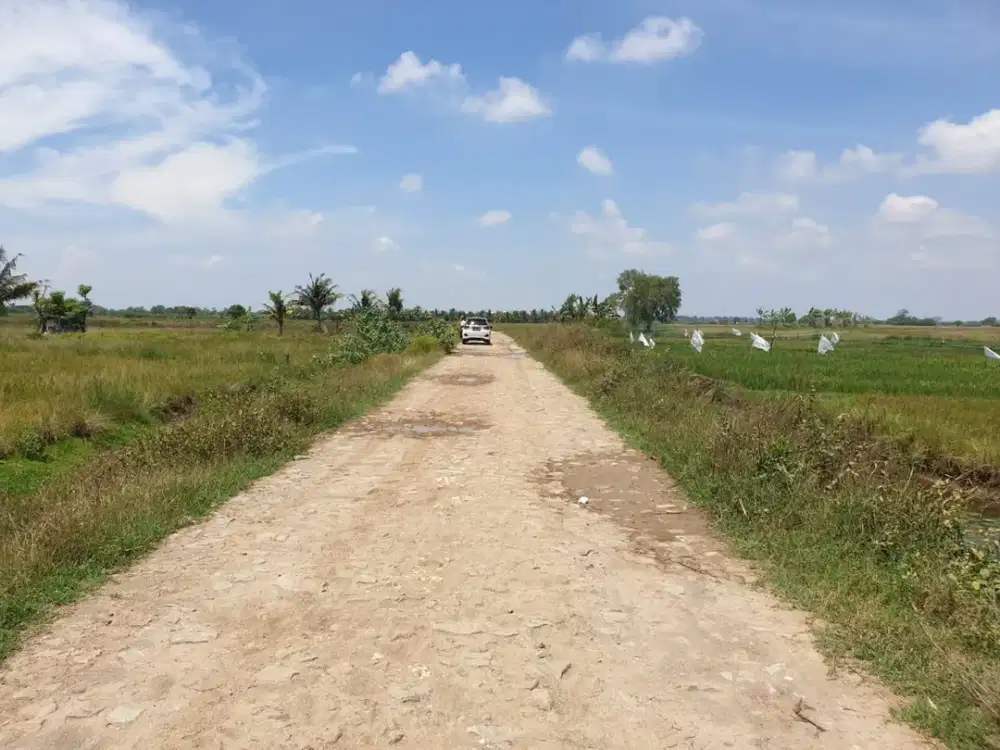 Tanah Strategis Pinggir Jalan Cocok Untuk Tambak, Perkebunan Di Harapan Jaya Bekasi Utara