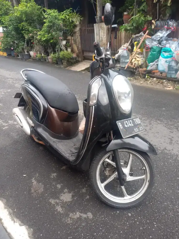 Honda scoopy 2015