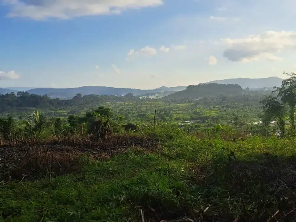 Leasehold view land Ababi Tirtagangga Karangasem