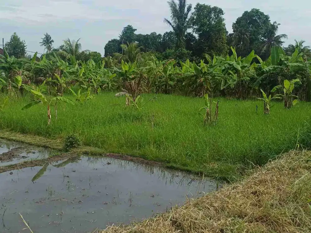 Dijual tanah di Kelating