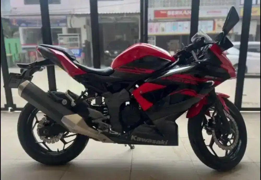 Kawasaki Ninja 250 SL Mono