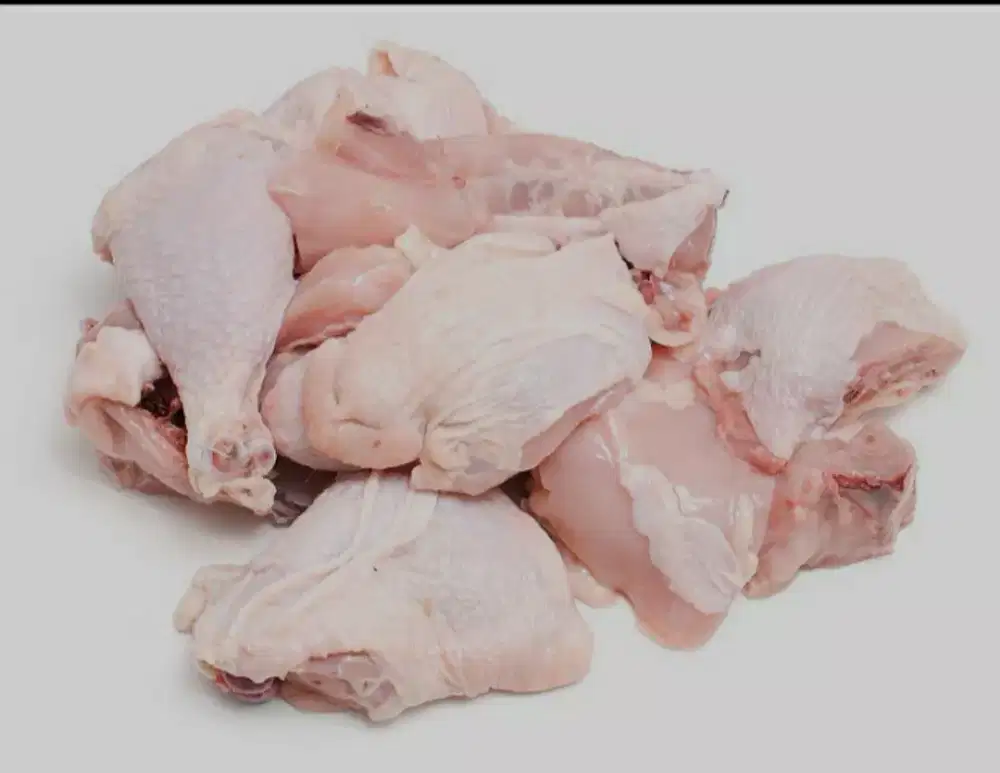 ayam potong ayàm utuh àyàm negri