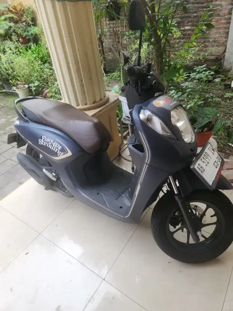 Genio biru dongker fobulois 2025awal Gbm