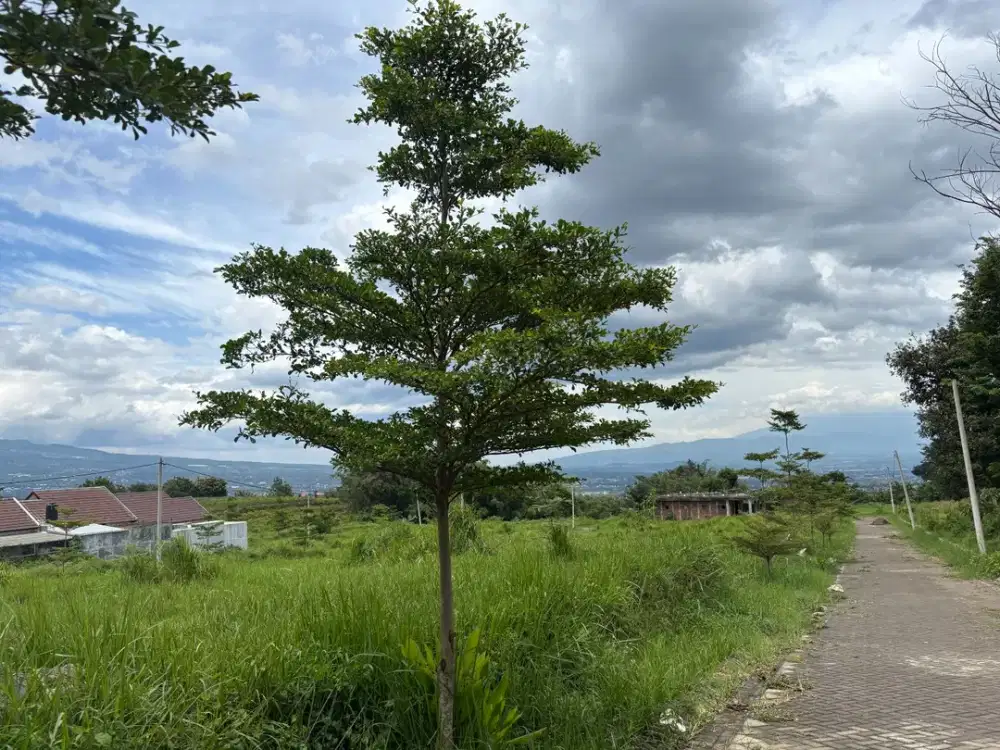 Jual Tanah Malang Siap Bangun KOST! Tepat Samping FK UIN, Kawasan Perumahan Sejuk & Asri