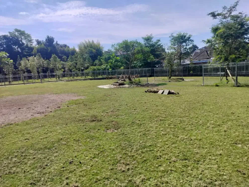 DIJUAL TANAH LUAS 7119 M2 DEKAT STADION MAGUWOHARJO