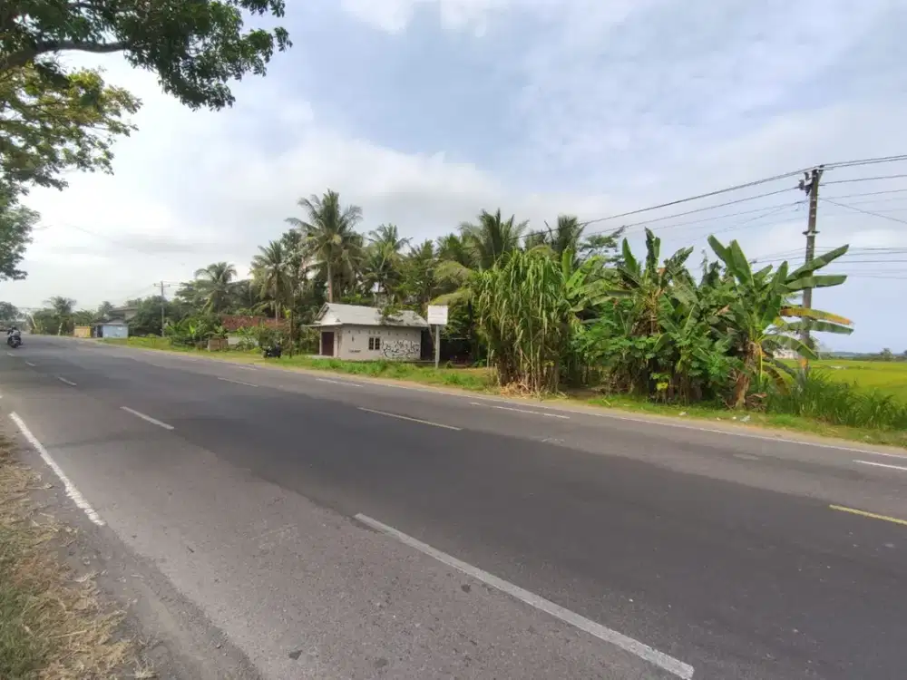 Tanah Pekarangan Pinggir Jalan Raya Wates Purworejo Dekat Bandara YIA
